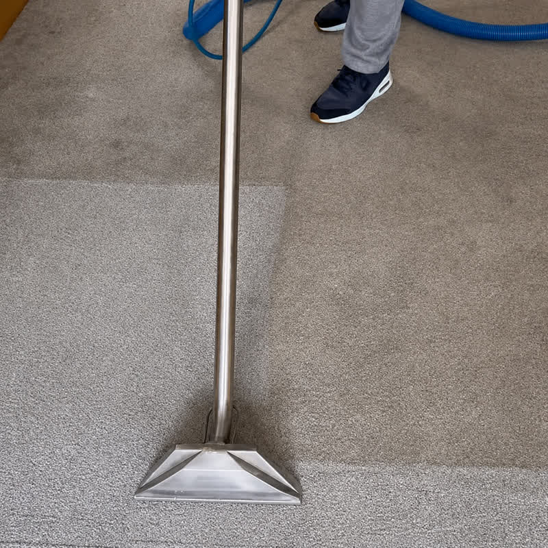 Commercial carpet deep cleaning before and after Birmingham