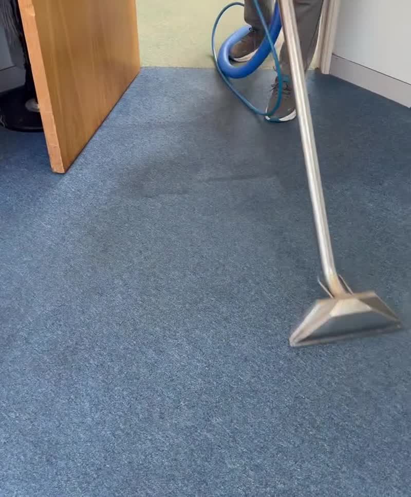 Deep steam carpet sanitisation results